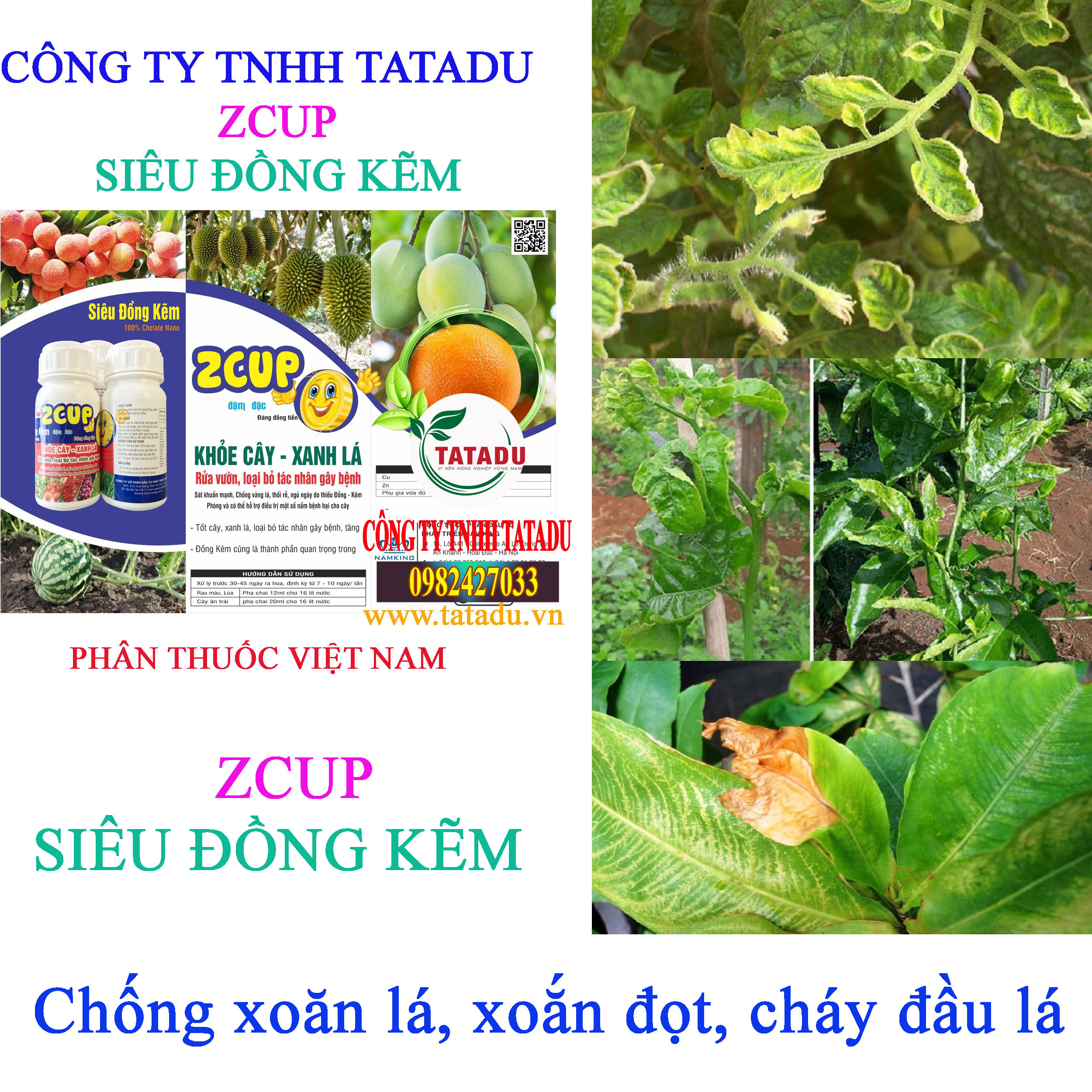 ZCUP XOAN LA ZCUP XOAN LA