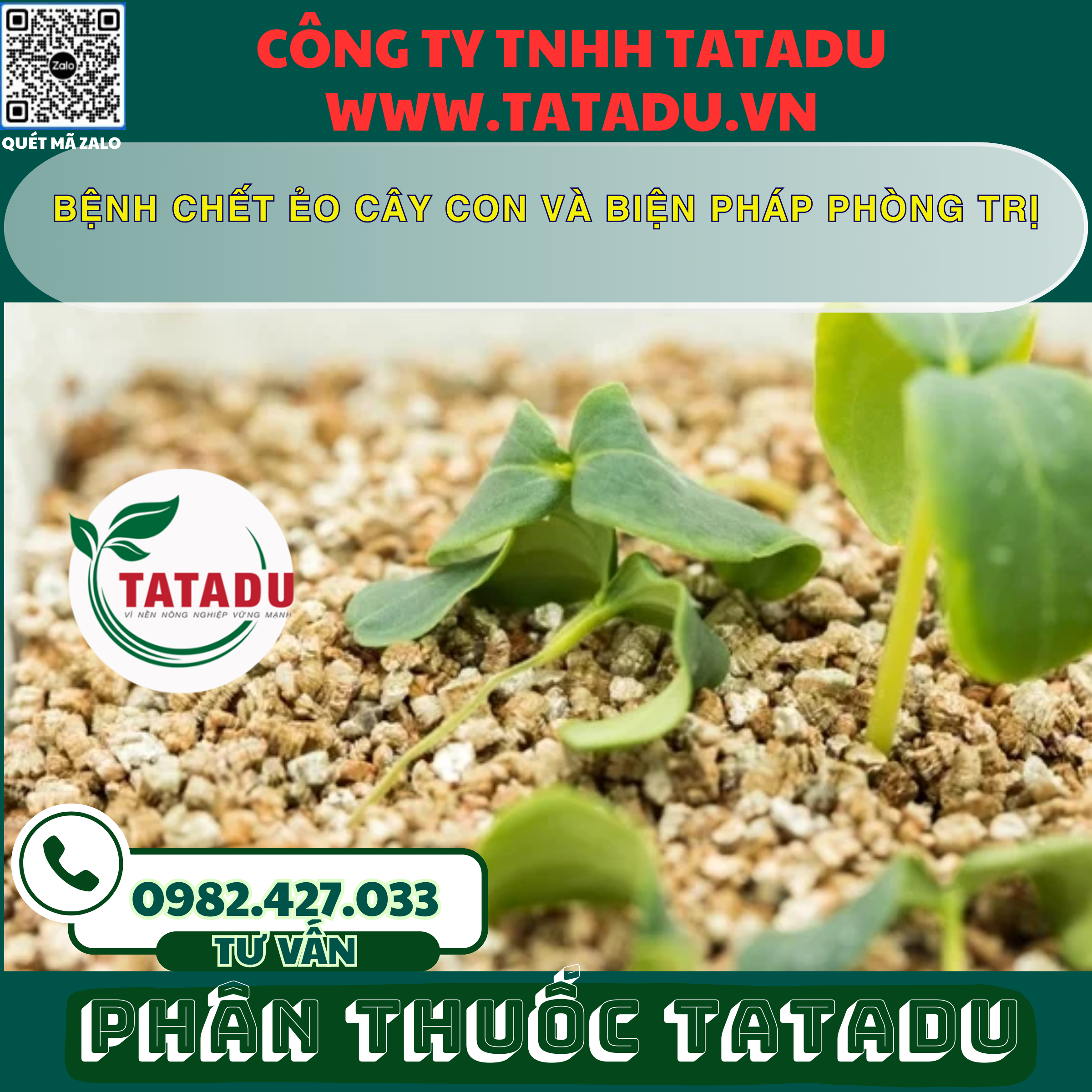 BENH CHET EO CAY CON VA BIEN PHAP PHONG TRI BENH CHET EO CAY CON VA BIEN PHAP PHONG TRI