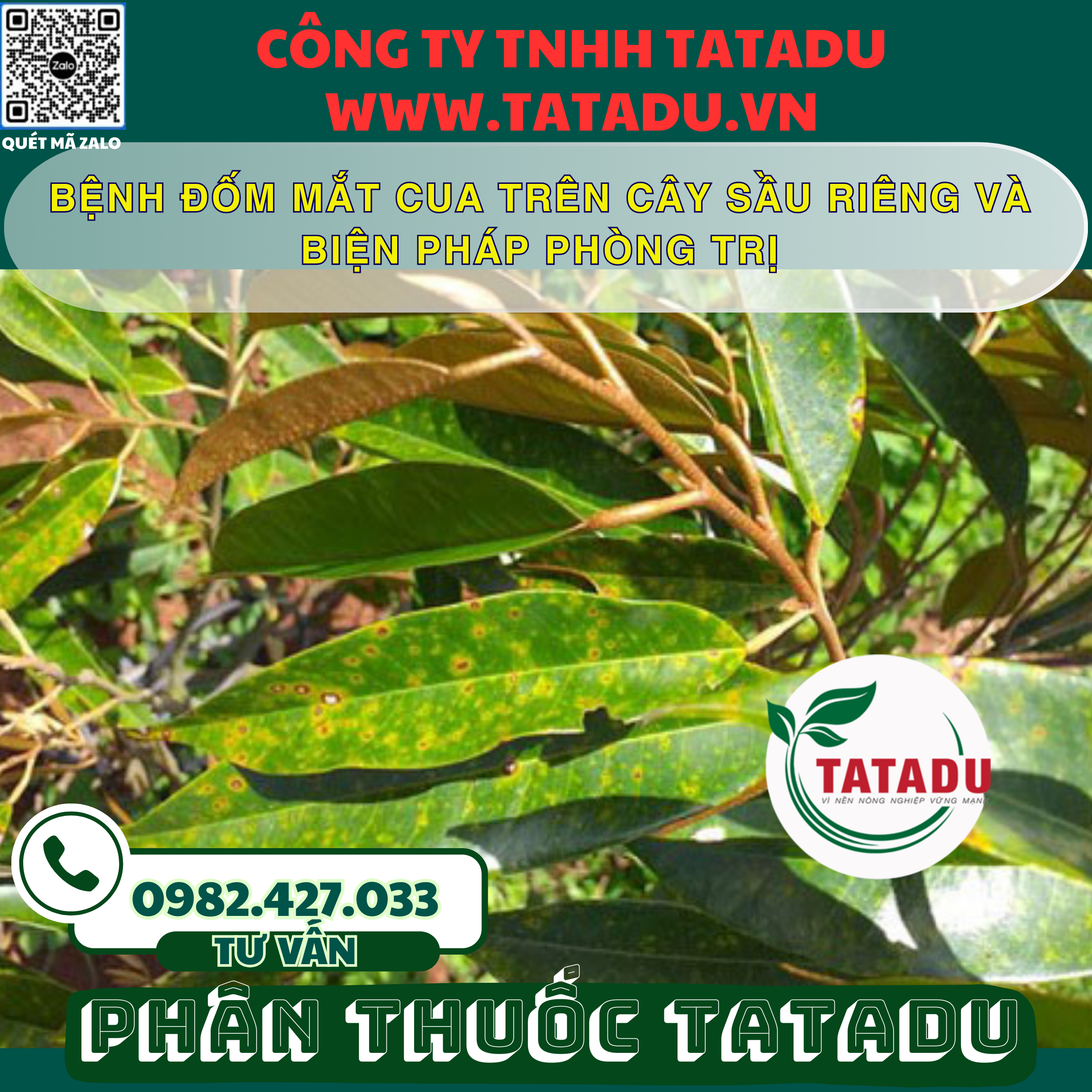 BENH DOM MAT CUA TREN CAY SAU RIENG VA BIEN PHAP PHONG TRI