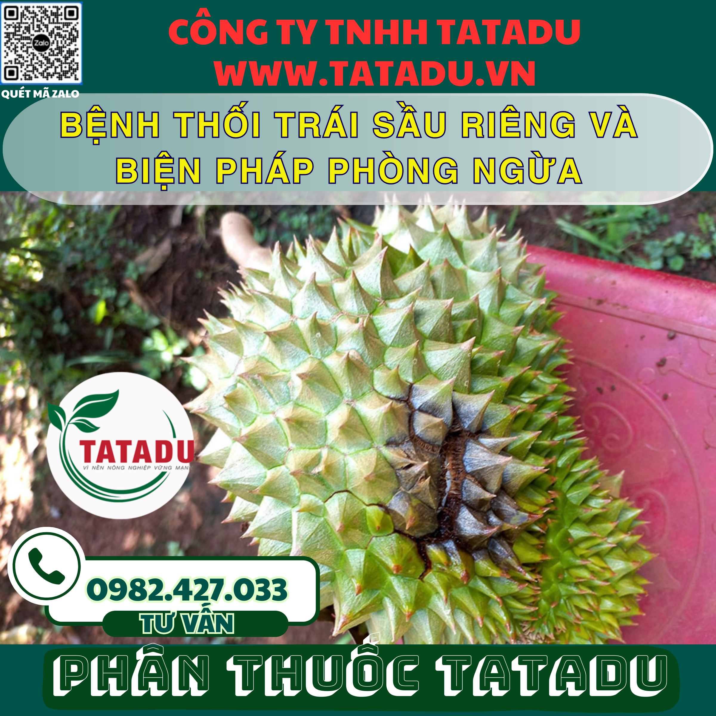 BENH THOI TRAI SAU RIENG VA BIEN PHAP PHONG NGUA