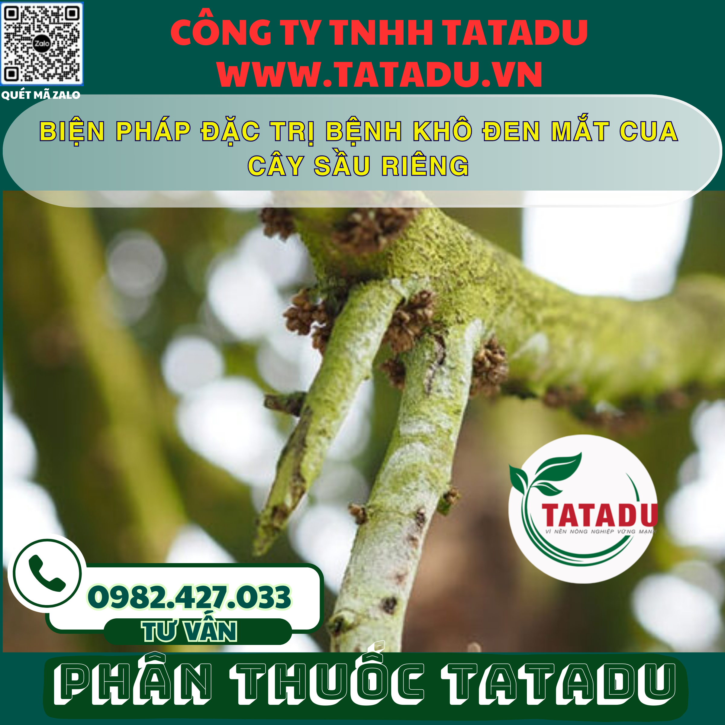 BIEN PHAP DAC TRI BENH KHO DEN MAT CUA CAY SAU RIENG