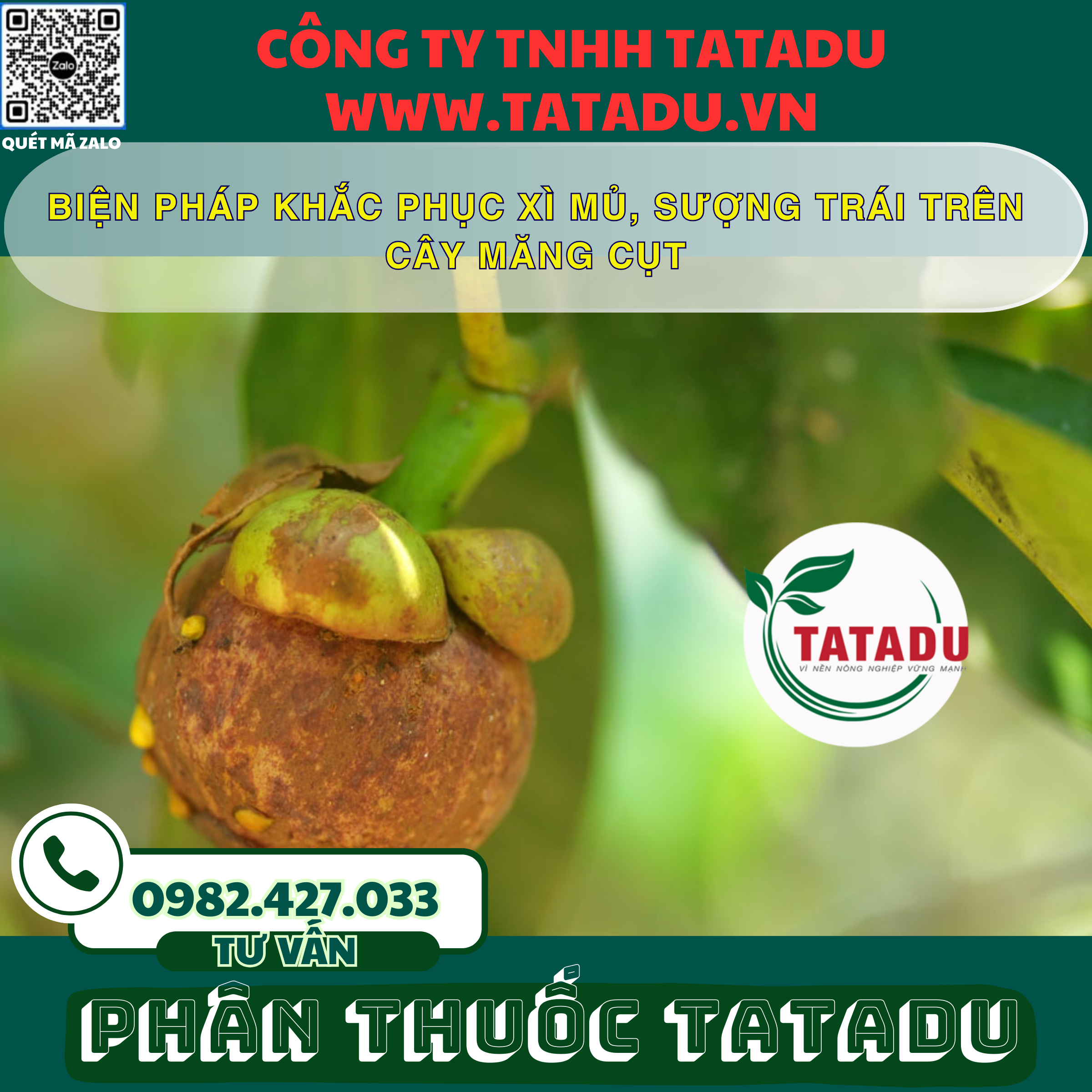 BIEN PHAP KHAC PHUC XI MU SUONG TRAI TREN CAY MANG CUT