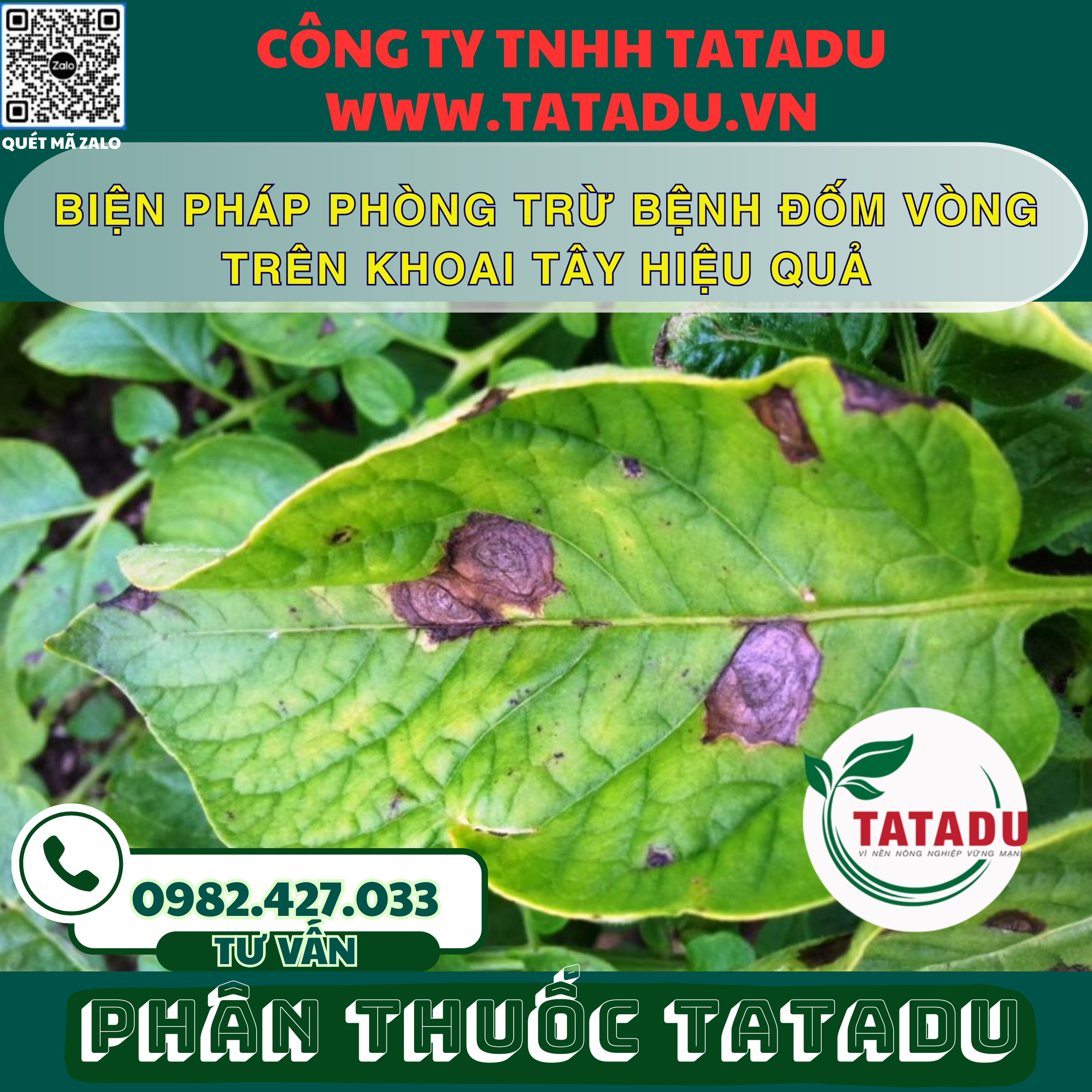 BIEN PHAP PHONG TRU BENH DOM VONG TREN KHOAI TAY HIEU QUA
