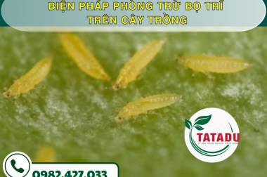 BIỆN PHÁP PHÒNG TRỪ BỌ TRĨ TRÊN CÂY TRỒNG