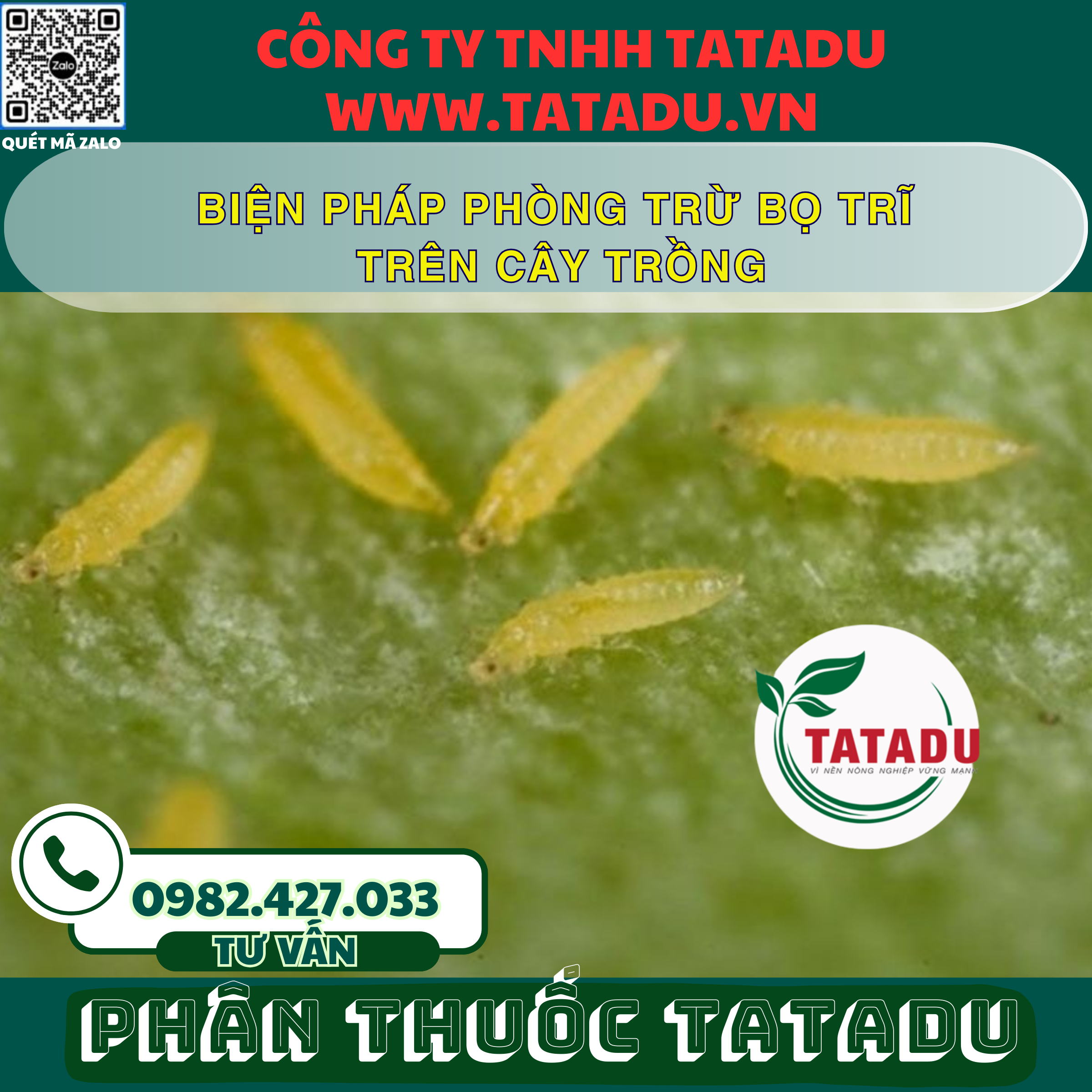 BIEN PHAP PHONG TRU BO TRI TREN CAY TRONG