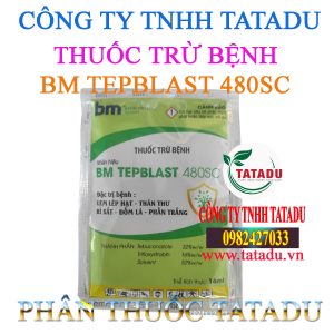BM TEPBLAST 480SC