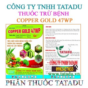 COPPER GOLD 47WP 1