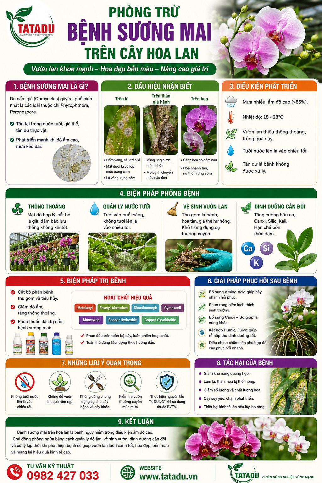 BỆNH SƯƠNG MAI TRÊN CÂY HOA LAN