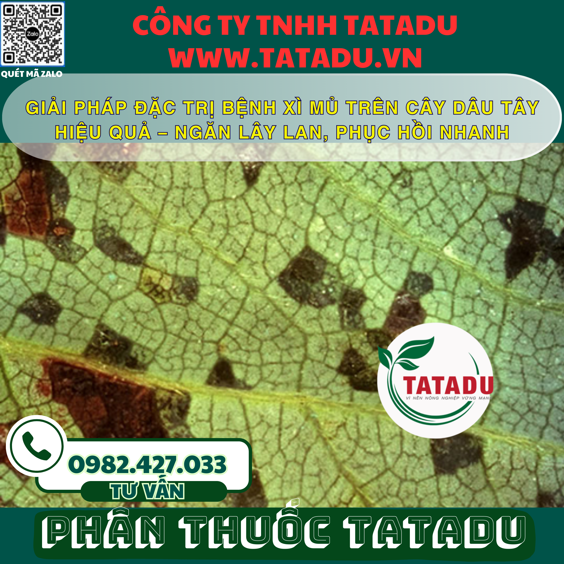 GIAI PHAP DAC TRI BENH XI MU TREN CAY DAU TAY HIEU QUA – NGAN LAY LAN PHUC HOI NHANH