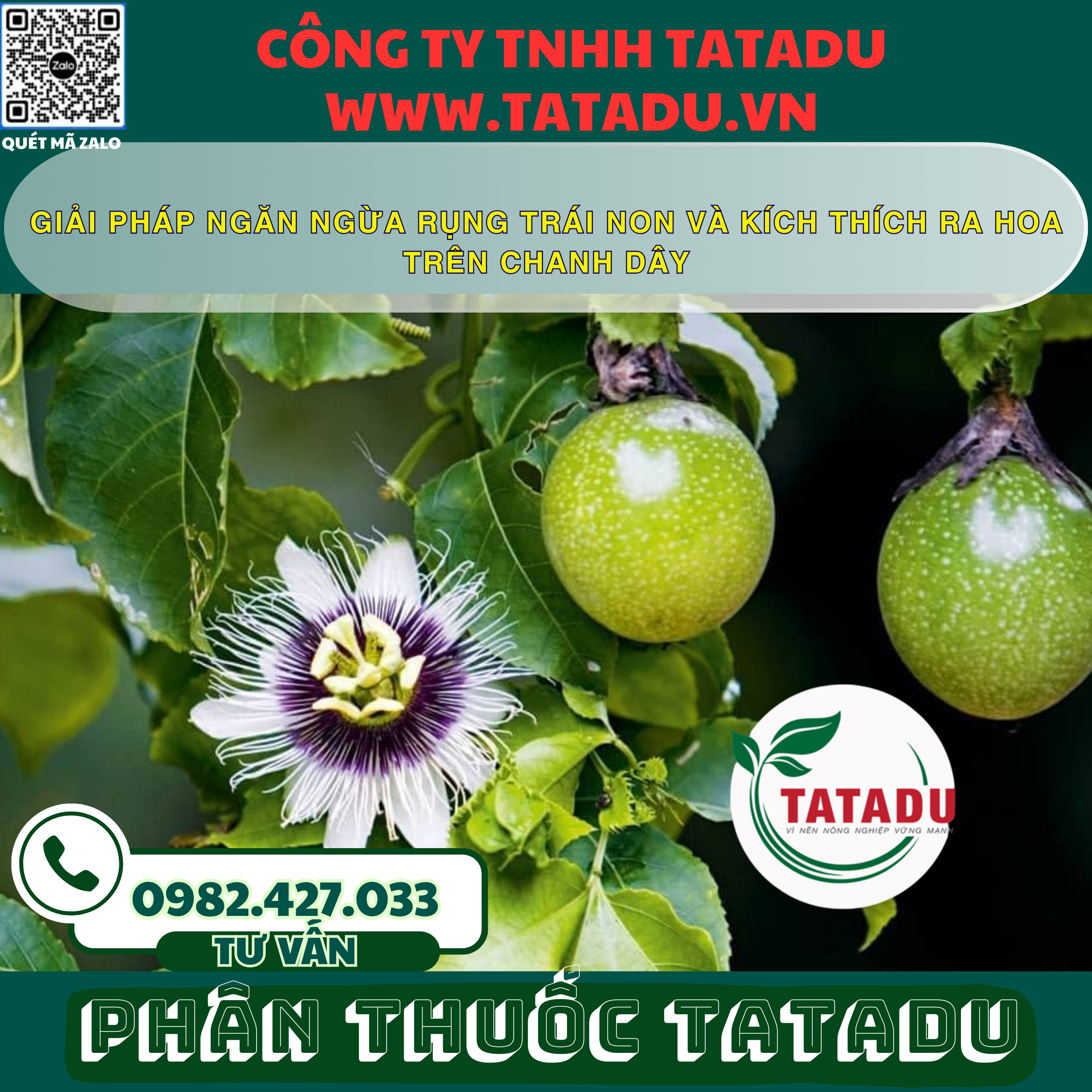 GIAI PHAP NGAN NGUA RUNG TRAI NON VA KICH THICH RA HOA TREN CHANH DAY