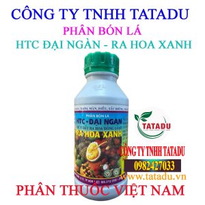 HTC DAI NGAN RA HOA XANH