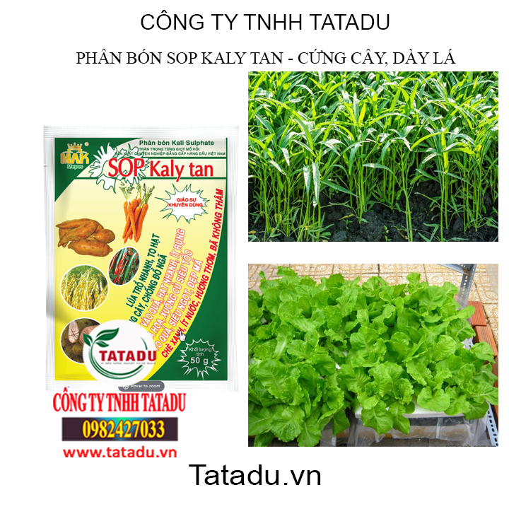 KALY TAN TATADU