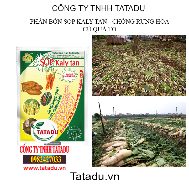 KALY TAN TATADU1