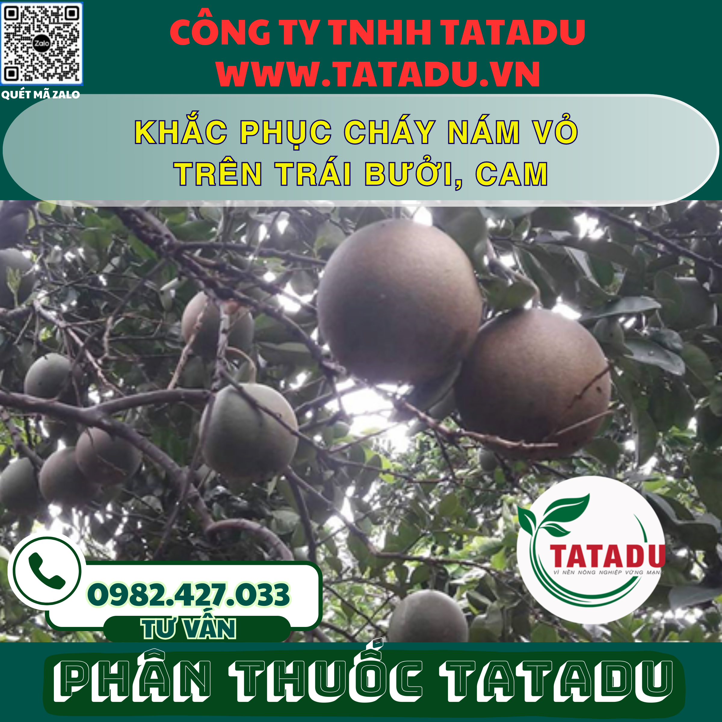 KHAC PHUC CHAY NAM VO TREN TRAI BUOI CAM