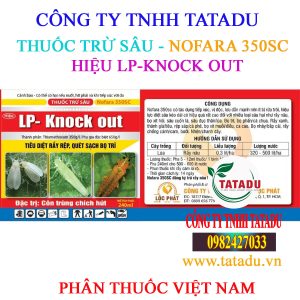 LP KNOCK OUT