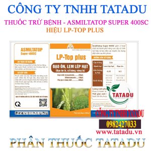 LP TOP PLUS