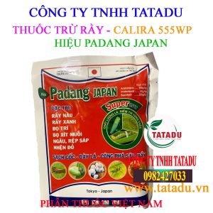 PADANG JAPAN