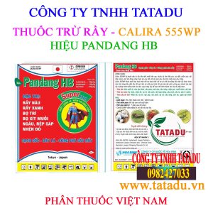PANDANG HB