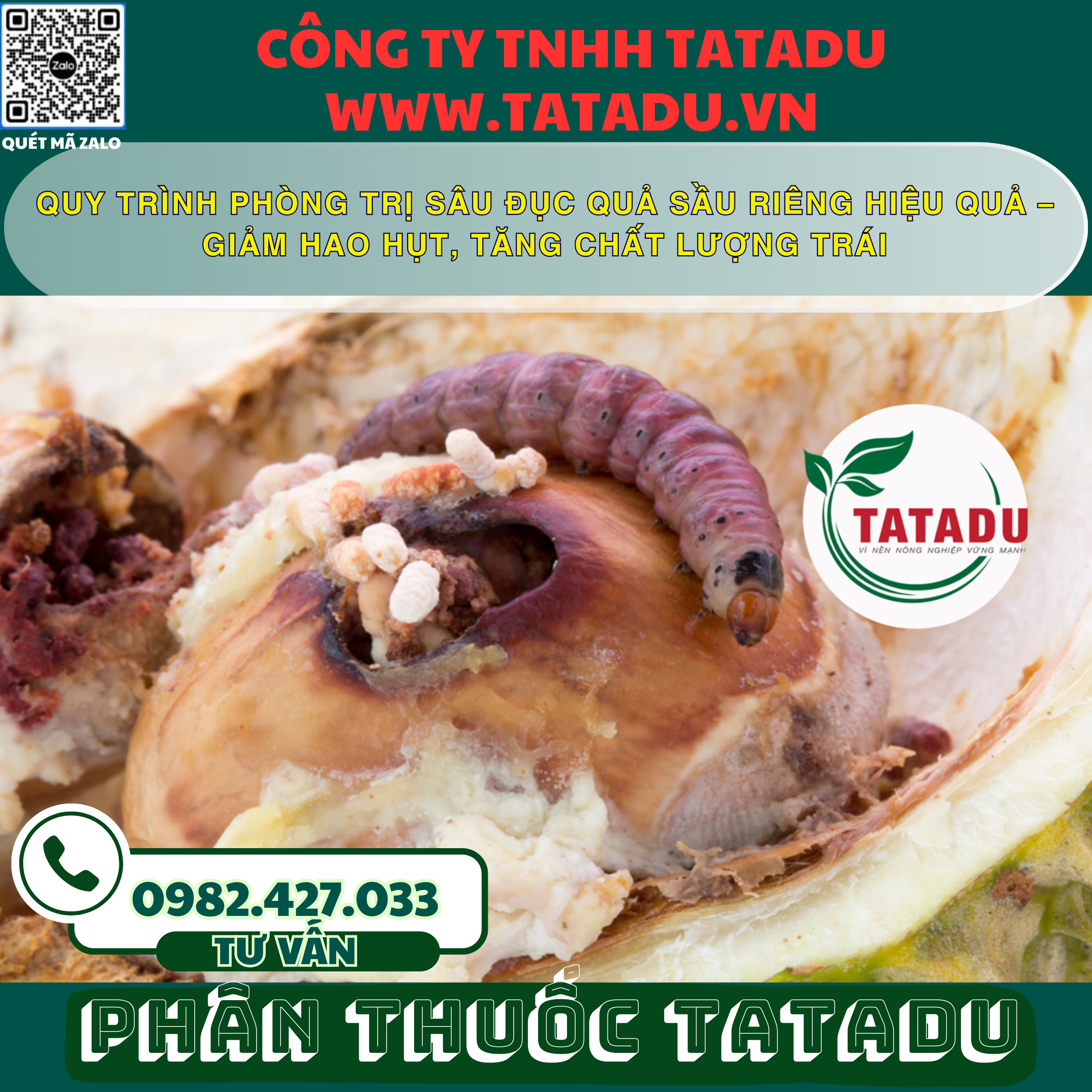 QUY TRINH PHONG TRI SAU DUC QUA SAU RIENG HIEU QUA – GIAM HAO HUT TANG CHAT LUONG TRAI QUY TRINH PHONG TRI SAU DUC QUA SAU RIENG HIEU QUA – GIAM HAO HUT TANG CHAT LUONG TRAI