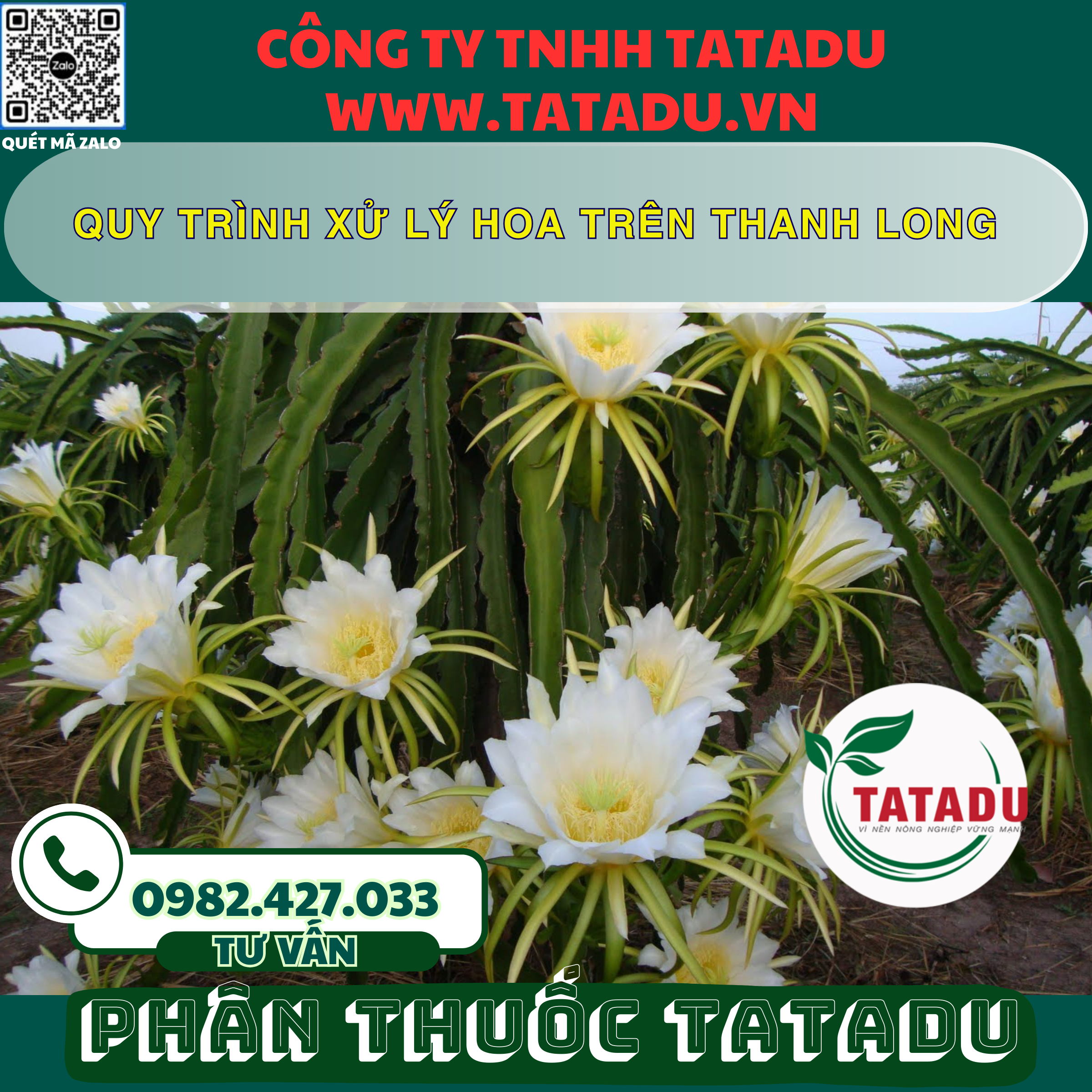 QUY TRINH XU LY HOA TREN THANH LONG
