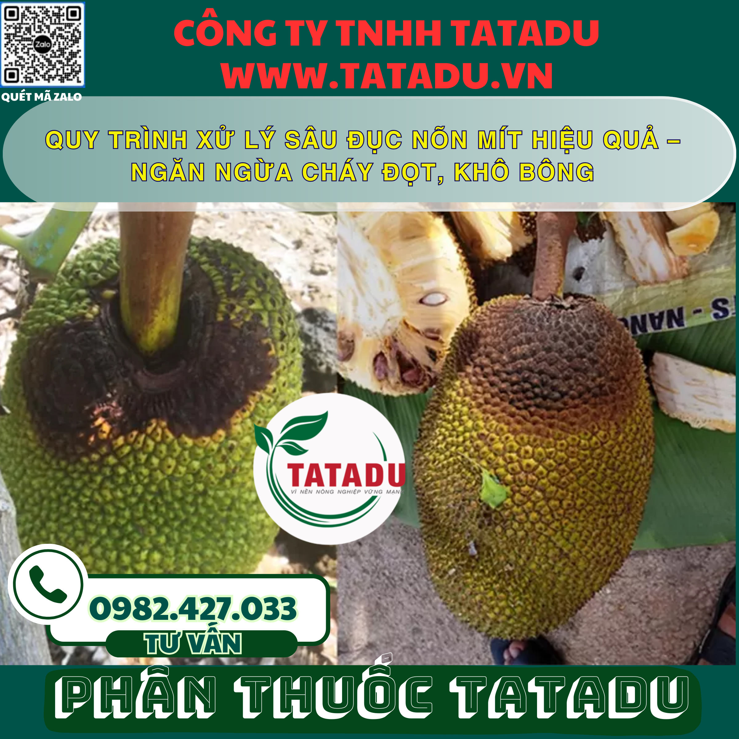 QUY TRINH XU LY SAU DUC NON MIT HIEU QUA – NGAN NGUA CHAY DOT KHO BONG