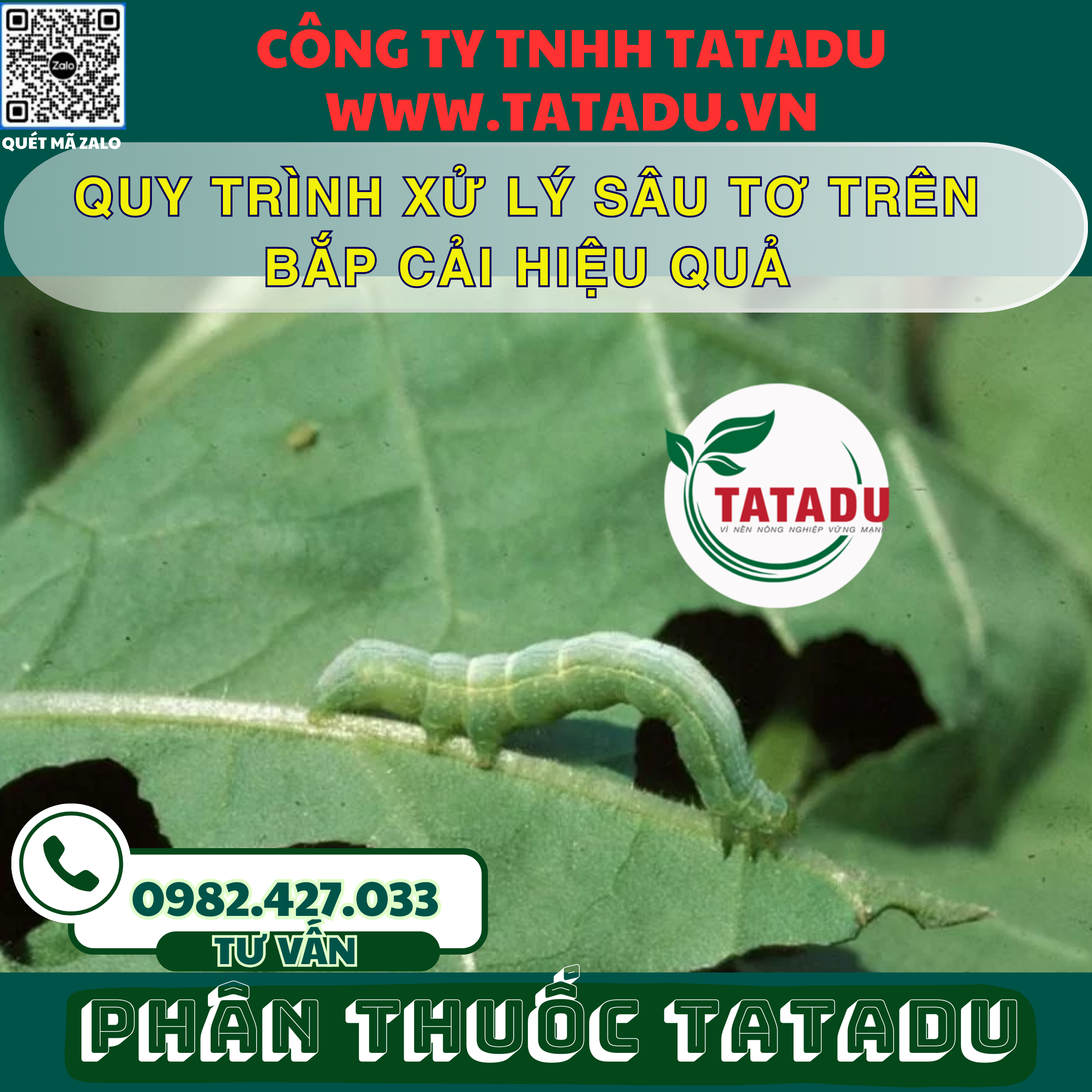 QUY TRINH XU LY SAU TO TREN BAP CAI HIEU QUA