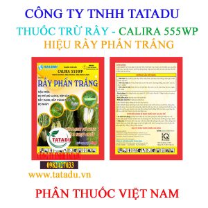 RAY PHAN TRANG