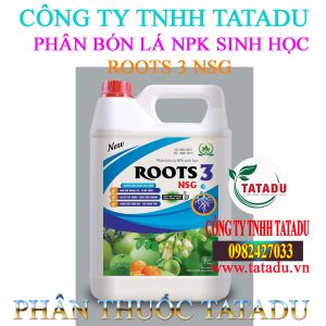 ROOTS 3 NSG CAN