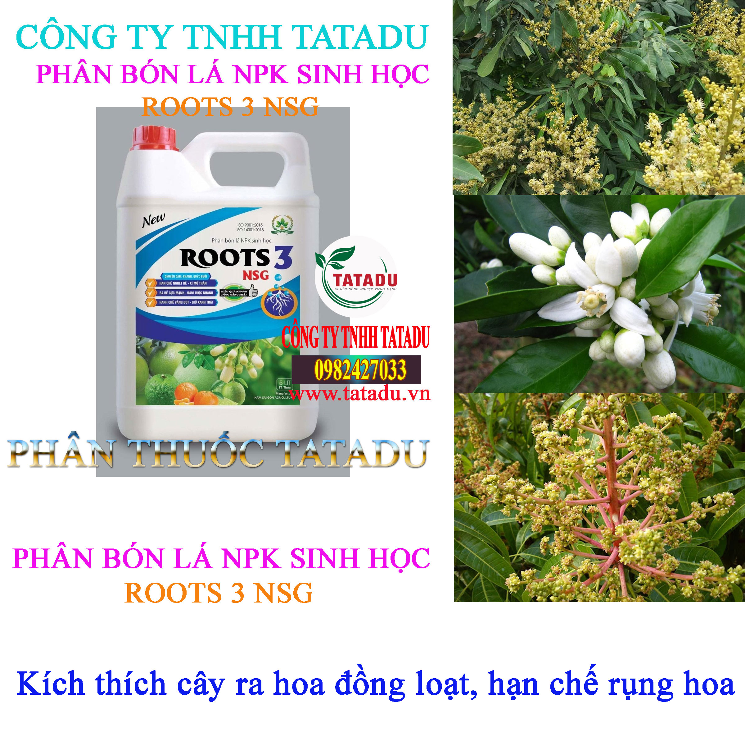 ROOTS 3 NSG CAN RA HOA ROOTS 3 NSG CAN RA HOA