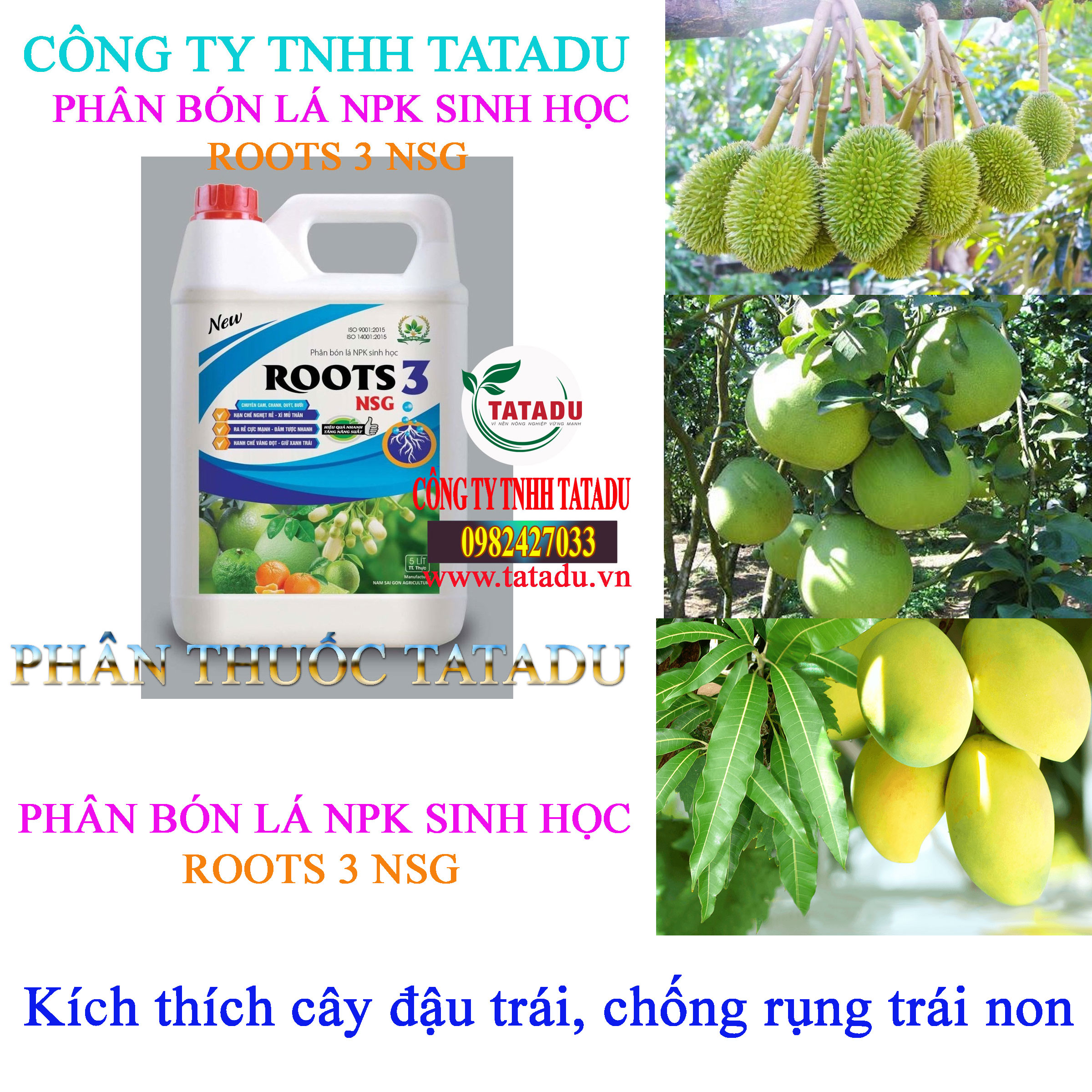 ROOTS 3 NSG can kich dau trai ROOTS 3 NSG can kich dau trai