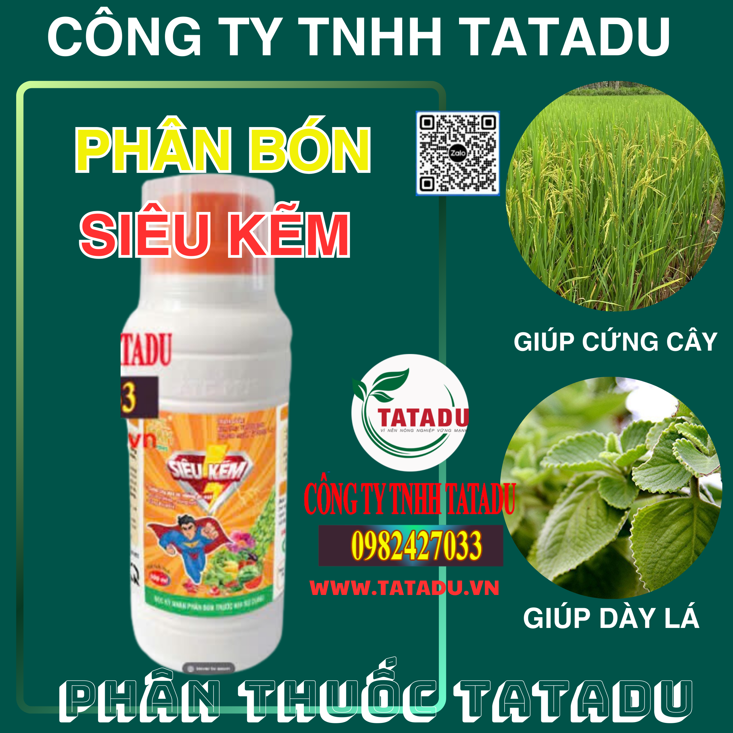 SIEU KEM GIUP CUNG CAY DAY LA SIEU KEM GIUP CUNG CAY DAY LA