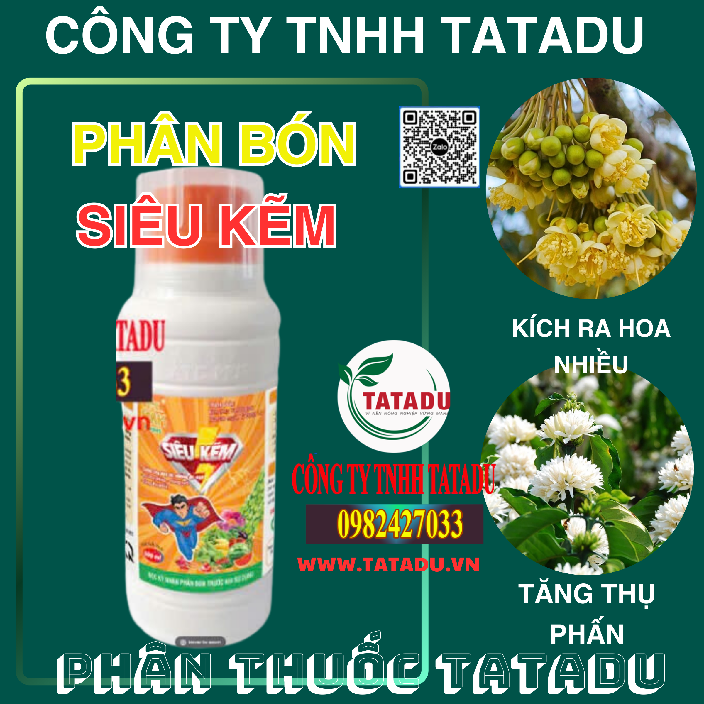 SIEU KEM KICH RA HOA NHIEU TANG THU PHAN SIEU KEM KICH RA HOA NHIEU TANG THU PHAN