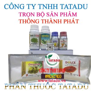 TRON BO SAN PHAM THONG THANH PHAT