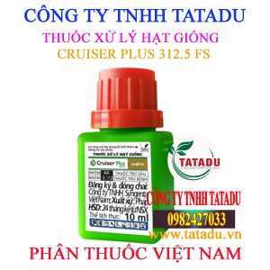 CRUISER PLUS 312.5 FS