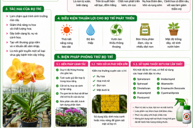 BIỆN PHÁP PHÒNG TRỪ BỌ TRĨ TRÊN CÂY HOA LAN