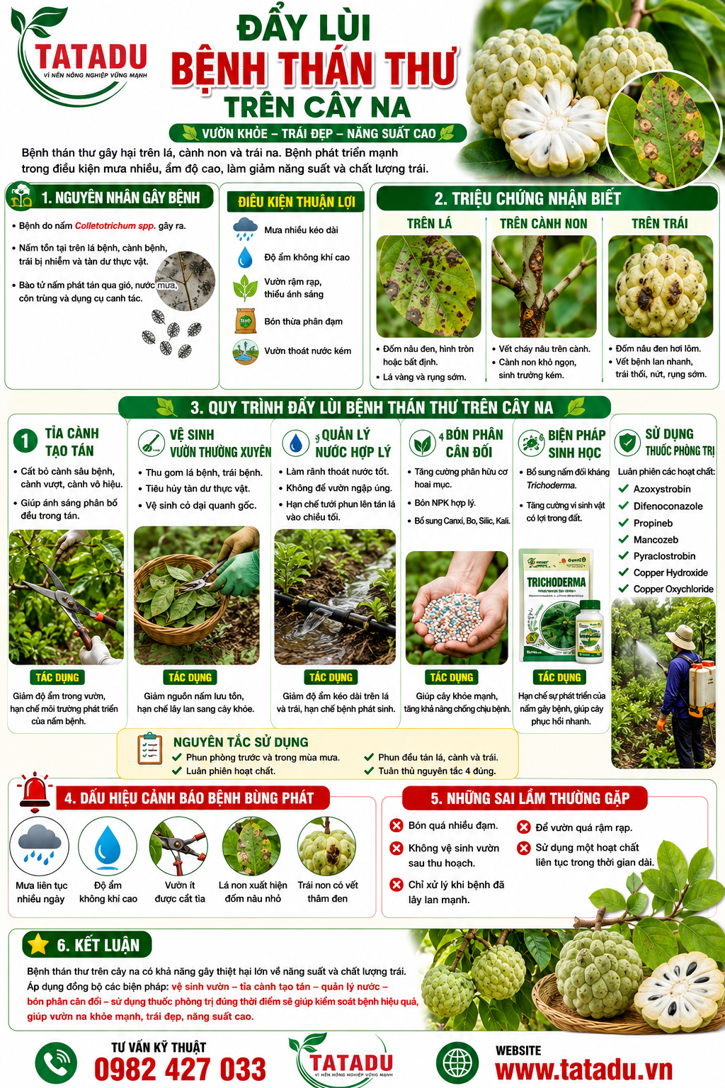 ĐẨY LÙI BỆNH THÁN THƯ TRÊN CÂY NA ĐẨY LÙI BỆNH THÁN THƯ TRÊN CÂY NA