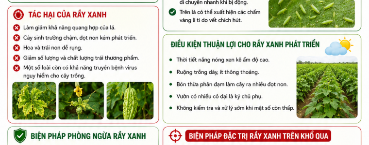 RẦY XANH TẤN CÔNG GÂY HẠI CÂY KHỔ QUA (MƯỚP ĐẮNG) VÀ BIỆN PHÁP ĐẶC TRỊ