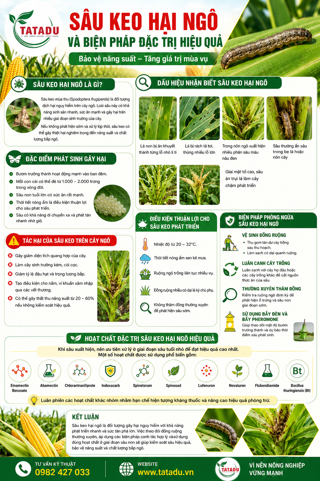 SÂU KEO HẠI NGÔ VÀ BIỆN PHÁP ĐẶC TRỊ