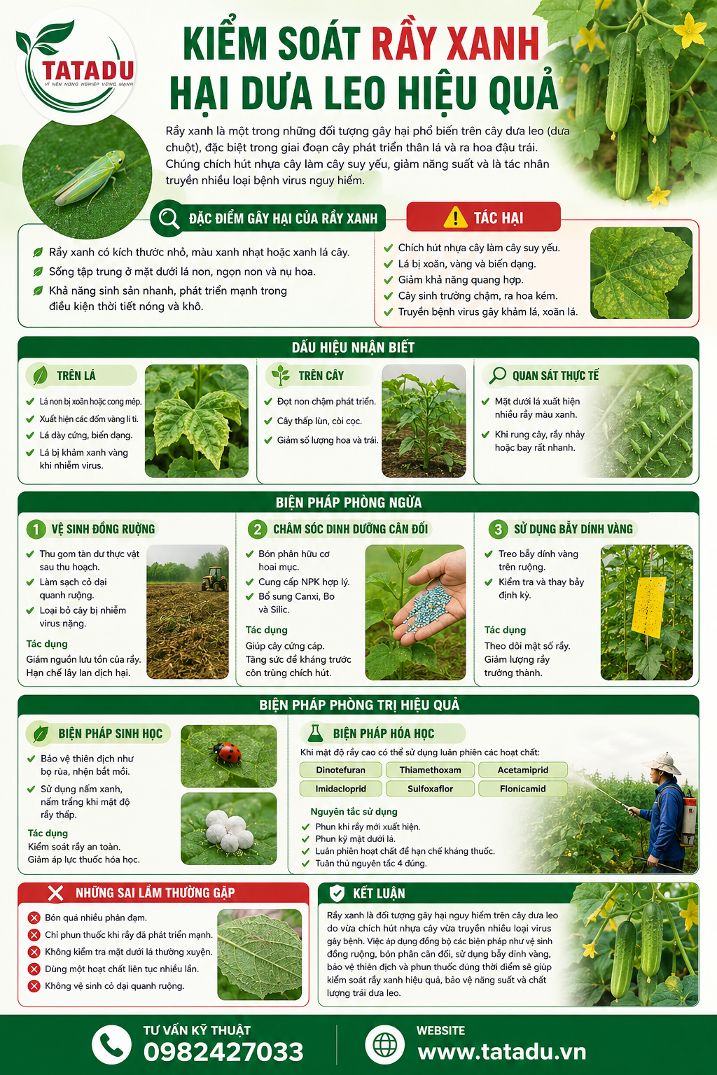 RẦY XANH GÂY HẠI TRÊN CÂY DƯA LEO (DƯA CHUỘT) VÀ BIỆN PHÁP PHÒNG TRỊ RẦY XANH GÂY HẠI TRÊN CÂY DƯA LEO (DƯA CHUỘT) VÀ BIỆN PHÁP PHÒNG TRỊ