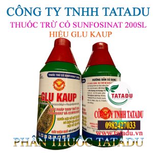 GLU KAUP