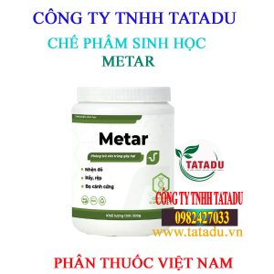 METAR