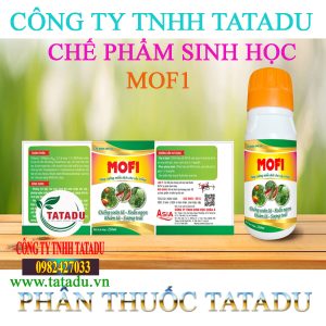 MOF1 CHAI 250ML