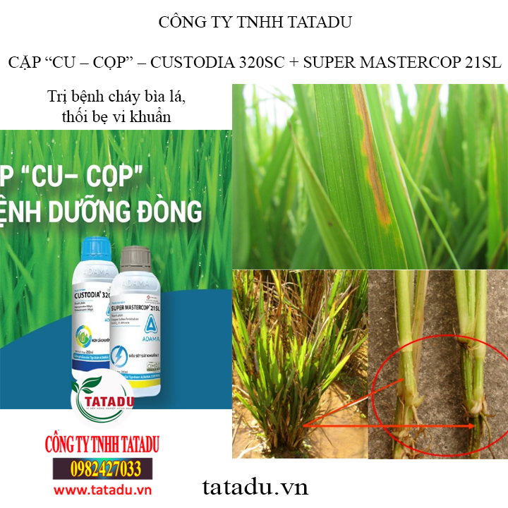 cap cu cop tatadu1