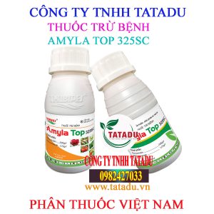 AMYLA TOP 325SC