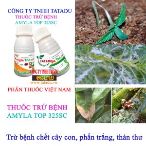 AMYLA TOP 325SC phan trang