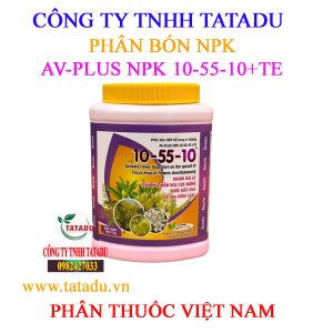 AV PLUS NPK 10 55 10TE