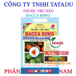 BACCA 80WG