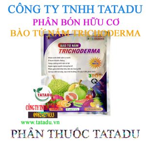 BAO TU NAM TRICHODERMA