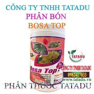BOSA TOP