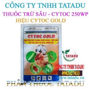CYTOC GOLD